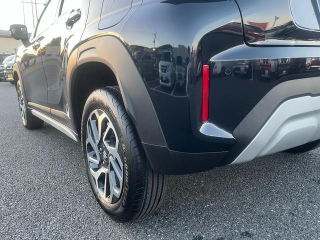 フロンクス １型　秋真っ盛り！（27枚目）