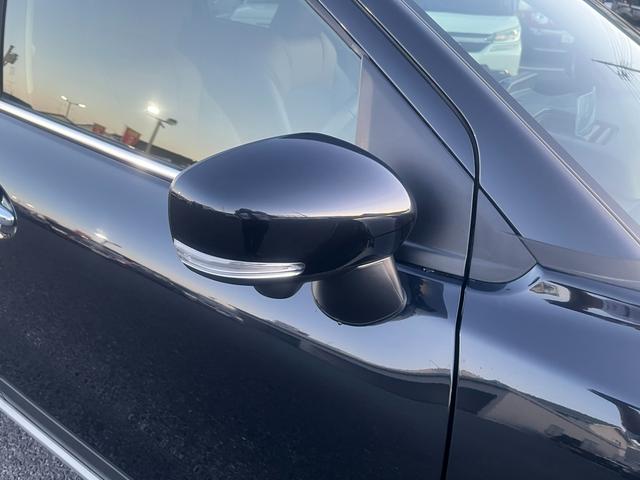 フロンクス １型　秋真っ盛り！（28枚目）