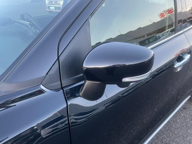 フロンクス １型　秋真っ盛り！（29枚目）