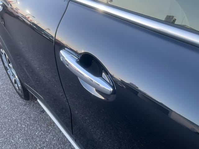 フロンクス １型　秋真っ盛り！（30枚目）