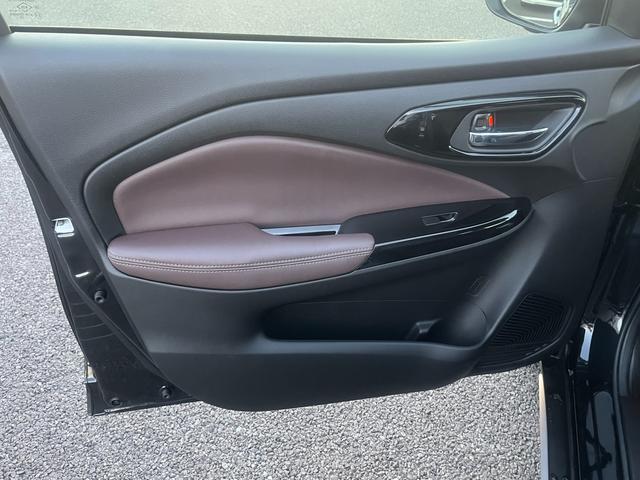 フロンクス １型　秋真っ盛り！（38枚目）