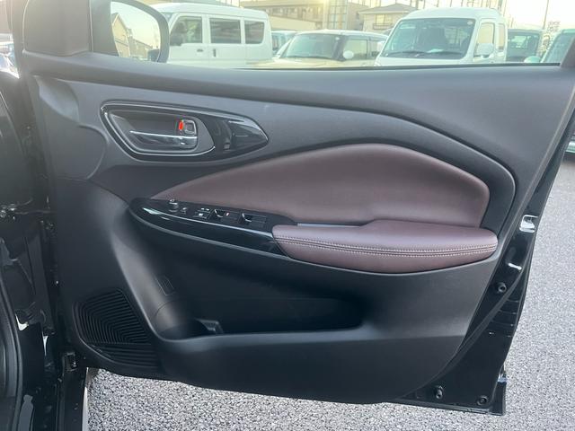 フロンクス １型　秋真っ盛り！（40枚目）