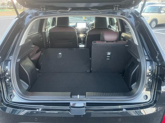 フロンクス １型　秋真っ盛り！（42枚目）