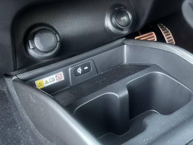 フロンクス １型　秋真っ盛り！（46枚目）