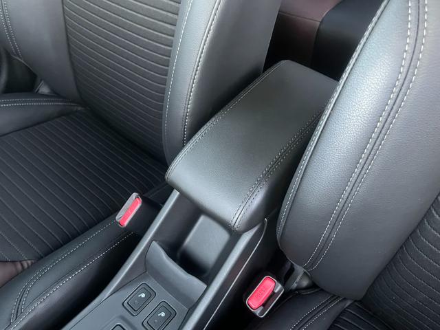 フロンクス １型　秋真っ盛り！（49枚目）