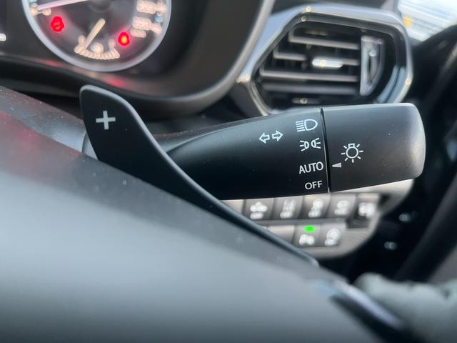 フロンクス １型　秋真っ盛り！（55枚目）