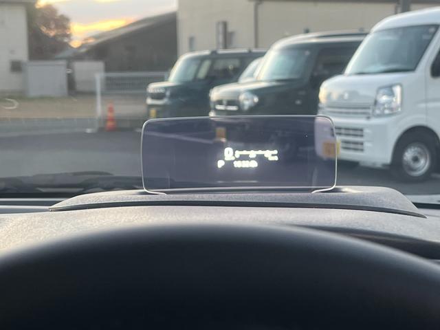 フロンクス １型　秋真っ盛り！（59枚目）