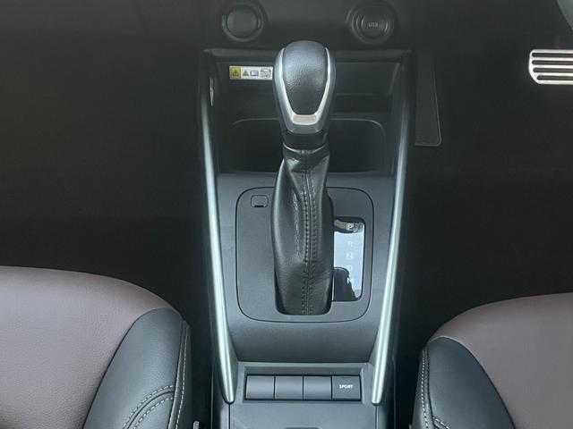 フロンクス １型　秋真っ盛り！（70枚目）