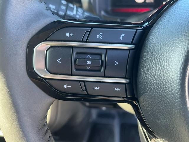 スペーシアカスタム カスタム　ＨＹＢＲＩＤ　ＸＳターボ　　秋真っ盛り！（52枚目）