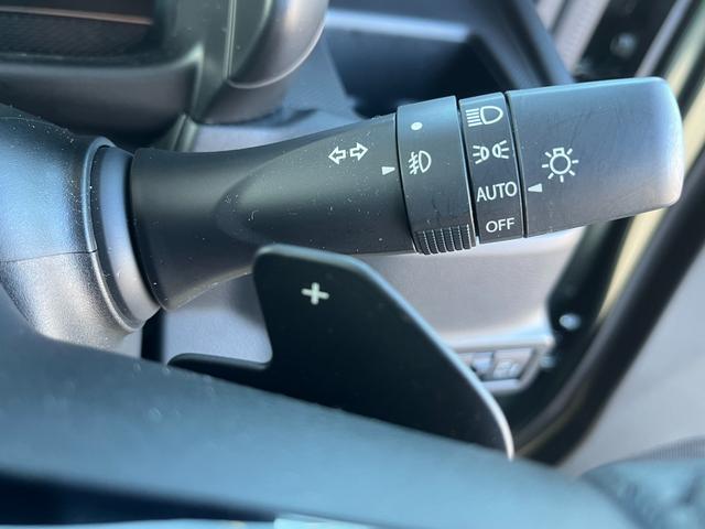 スペーシアカスタム カスタム　ＨＹＢＲＩＤ　ＸＳターボ　　秋真っ盛り！（55枚目）