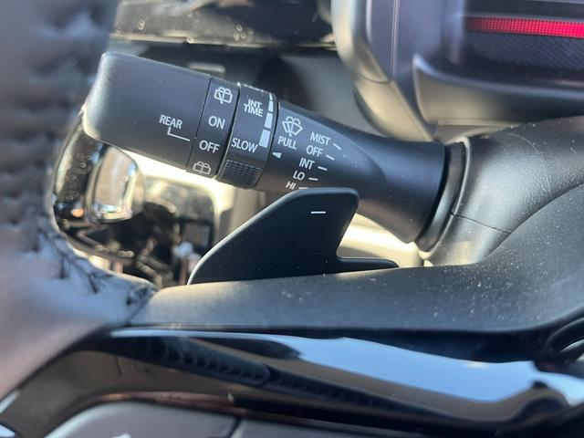 スペーシアカスタム カスタム　ＨＹＢＲＩＤ　ＸＳターボ　　秋真っ盛り！（56枚目）