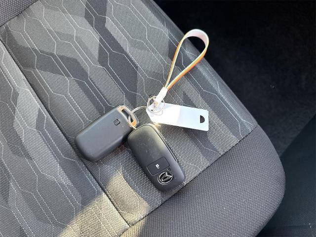 タフト Ｘ　バックカメラ　クリアランスソナー　衝突被害軽減システム　オートライト　ＬＥＤヘッドランプ　スマートキー　アイドリングストップ　電動格納ミラー　サンルーフ　ＣＶＴ　盗難防止システム　ＡＢＳ　ＥＳＣ（11枚目）