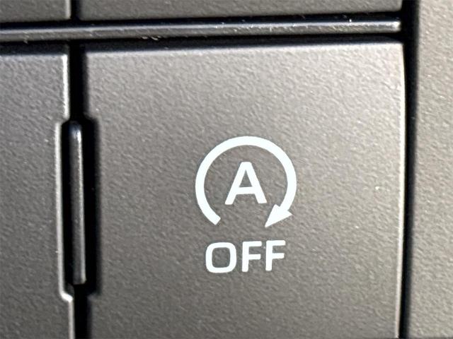 タフト Ｇ　ダーククロムベンチャー　バックカメラ　クリアランスソナー　オートクルーズコントロール　衝突被害軽減システム　オートライト　スマートキー　アイドリングストップ　電動格納ミラー　シートヒーター　サンルーフ　ＣＶＴ　ＡＢＳ　ＥＳＣ（45枚目）