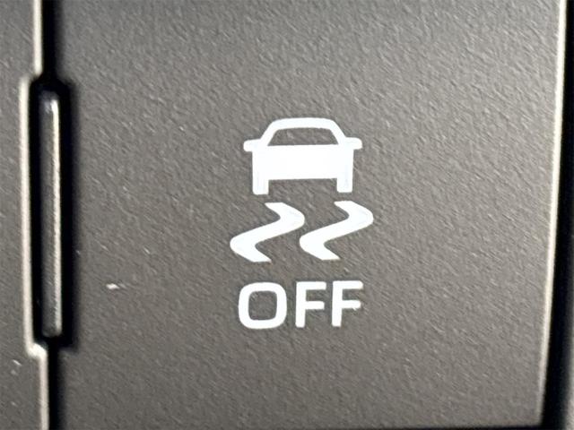 タフト Ｇ　ダーククロムベンチャー　バックカメラ　クリアランスソナー　オートクルーズコントロール　衝突被害軽減システム　オートライト　スマートキー　アイドリングストップ　電動格納ミラー　シートヒーター　ＣＶＴ　ＡＢＳ　ＥＳＣ（47枚目）