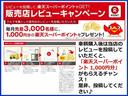 ＳＳ－Ｉ　グー鑑定済み　５ＭＴ　社外フルエアロ　Ｒスポイラー　社外１７インチアルミ　ナビ　テレビ　ＥＴＣ　Ｗエアバック　ＡＢＳ　集中ドアロック　同色再塗装済み　タイミングチェーン　５速マニュアル(51枚目)