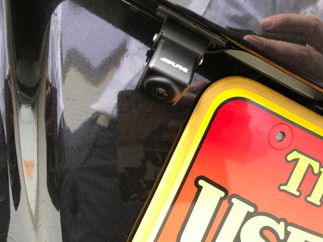 L ワンオーナー メモリーナビ フルセグ バックカメラ ETC アルミホイール(26枚目)