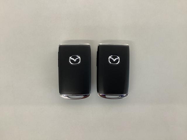 ＣＸ－３ １５Ｓ　ツーリング　新車未登録　スマートシティブレーキサポート　８．８インチセンターディスプレイ　フルセグ　３６０°ビューモニター　レーダークルーズコントロール　ＬＥＤヘッドライト　電動パーキングブレーキ（29枚目）