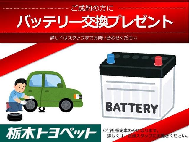 ライズ Ｚ　バックモニタ－　整備点検記録簿　アルミ　Ｉ－ＳＴＯＰ　ＥＴＣ車載器　エアロ　フルセグＴＶ　ＬＥＤヘッドライト　サイドカーテンエアバック　横滑防止　オートエアコン　オートクルーズ　キーフリー　ＡＢＳ（3枚目）