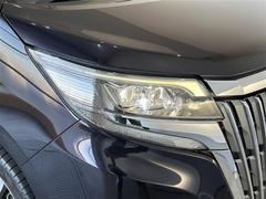 �̣ţĥإåɥ饤�ȤǤ����ǥ����������褯�ȤƤ����뤤�Τǡ���֤����Ԥ䰭ŷ���Ǥ�¿��Ǥ���������Ĺ��̿�� 7