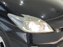 �ץꥦ�� �ӡ��¥�˥��ݡ��ե륻���ϥǥ�������ƥꥭ�����ȣģĥʥӥ�������� 0400344A20251226T002 5