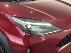 �̣ţĥإåɥ饤�ȤǤ����ǥ����������褯�ȤƤ����뤤�Τǡ���֤����Ԥ䰭ŷ���Ǥ�¿��Ǥ���������Ĺ��̿�� 5