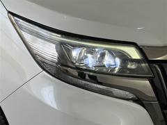 �̣ţĥإåɥ饤�ȤǤ����ǥ����������褯�ȤƤ����뤤�Τǡ���֤����Ԥ䰭ŷ���Ǥ�¿��Ǥ���������Ĺ��̿�� 7