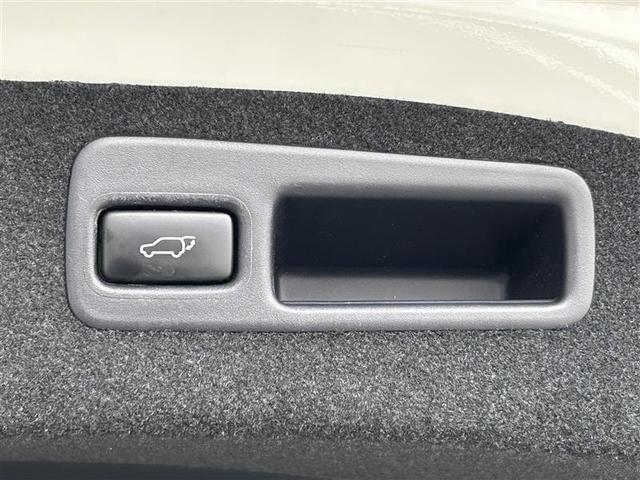 ハリアー プレミアム　メタル　アンド　レザーパッケージ　横滑り防止機能　メモリナビ　プリクラッシュセーフティー　レザーシート　キーレス　アルミホイール　ＡＢＳ　地デジ　バックガイドモニター　クルーズコントロール　ワンオーナー　盗難防止装置　パワーシート（31枚目）