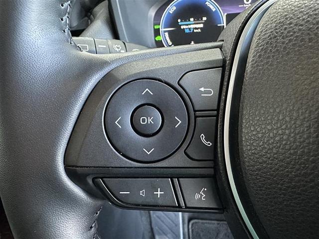 ＲＡＶ４ ハイブリッドＧ　盗難防止　ＬＥＤランプ　点検記録簿　エアロ　スマートキー＆プッシュスタート　地デジチューナー　オートエアコン　４ＷＤ車　メディアプレイヤー接続　ナビＴＶ　横滑防止　運転席パワーシート　ＡＷ　エアバッグ（12枚目）