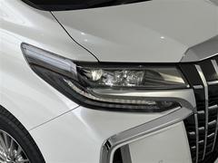 �̣ţĥإåɥ饤�ȤǤ����ǥ����������褯�ȤƤ����뤤�Τǡ���֤����Ԥ䰭ŷ���Ǥ�¿��Ǥ���������Ĺ��̿�� 6