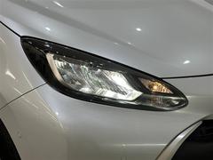 �̣ţĥإåɥ饤�ȤǤ����ǥ����������褯�ȤƤ����뤤�Τǡ���֤����Ԥ䰭ŷ���Ǥ�¿��Ǥ���������Ĺ��̿�� 6