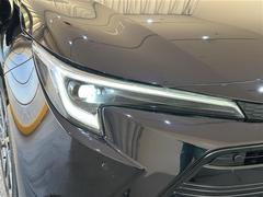 �̣ţĥإåɥ饤�ȤǤ����ǥ����������褯�ȤƤ����뤤�Τǡ���֤����Ԥ䰭ŷ���Ǥ�¿��Ǥ���������Ĺ��̿�� 4