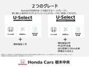 α　６Ｍ／Ｔ・オーディオレス・ＥＴＣ・盗難防止装置・禁煙車・ワンオーナー・ＶＳＡ・Ｗエアバック・ＨＩＤヘッドライト・オートＡ／Ｃ・フォグライト・クルーズコントロール・取扱説明書・記録簿・スペアキー（30枚目）