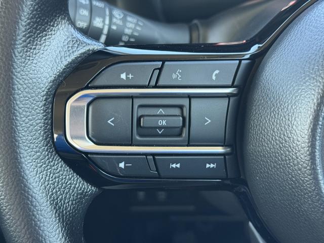 スペーシア ＨＹＢＲＩＤ　Ｘ　４ＷＤ　ＤＳＢＳＩＩ／電動スライドドア　デュアルセンサーブレーキサポートＩＩ　オートライト　電動スライドドア　プッシュスタート　シートヒーター　オートエアコン　スズキセーフティーサポート　４ＷＤ　衝突被害軽減システム　アイドリングストップ（34枚目）