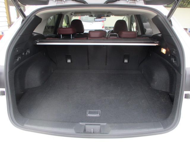 レヴォーグ  STIスポーツR EX 4WDターボ 純正ナビTVBモニタ-Sモニタ- ワンオーナ-(7枚目)
