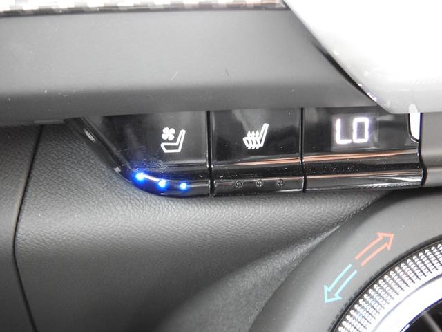 シボレーカマロ ＬＴ　ＲＳ　２０１８年モデル　光岡５０周年特別仕様車　ＡｐｐｌｅＣａｒＰｌａｙ／ＡｎｄｒｏｉｄＡｕｔｏ　ＢＯＳＥサウンド　専用ミディアムアッシュグレーレザーシート　シートヒーター＆クーラー　前後ドラレコ　限定６台　クルコン　純正２０インチＡＷ　ＥＴＣ（31枚目）