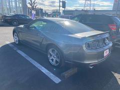 ޥ ֣ǣԡץߥࡡǯǥ롡ǥ顼 0400368A30251204W001 3