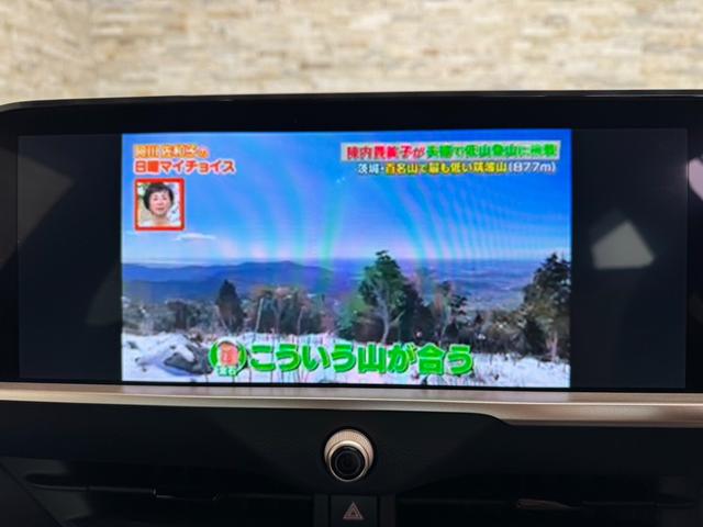 Ｇアドバンスド・レザーパッケージ　メーカー純正ナビ　全方位カメラ　フルセグＴＶ　デジタルインナーミラー　ＨＵＤ　ＢＳＭ　アダプティブクルーズコントロール　トヨタセーフティセンス　ハイビームアシスト　ＡＣ１００Ｖ　純正２１インチＡＷ(19枚目)