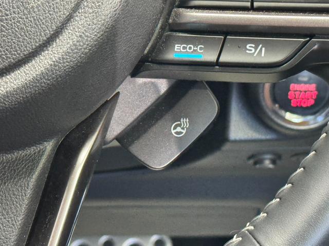 フォレスター アドバンス　４ＷＤ　純正ナビ　フルセグ　Ｂモニター　ＢＴ接続　ＴＶキャンセラー　シートヒーター　ステアリングヒーター　Ｆカメラ　Ｓカメラ　Ｐシート　Ｐリアゲート　ルーフレール　オートライト　純正１８インチＡＷ（29枚目）