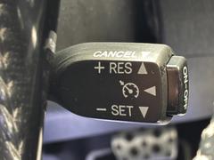 �ץꥦ������ե� �ӥġ���󥰥��쥯����󡡣ǡǣ󡡽�����������ʥӡ��ե륻�����£�������������³ 0400370A30251225W003 6