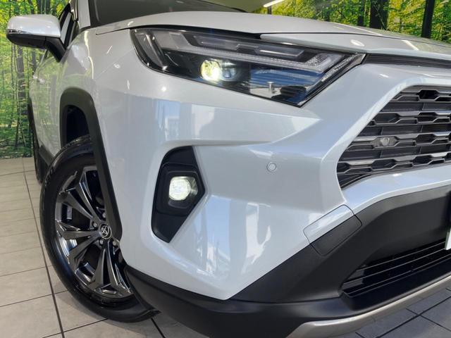 ＲＡＶ４ ハイブリッドＧ　４ＷＤ　純正１０型ナビ　全周囲カメラ　デジタルインナーミラー　ＢＳＭ　シートベンチレーション　レーダークルーズ　ステアリングヒーター　電動リヤゲート　衝突被害軽減システム　オートハイビーム　ＥＴＣ（12枚目）