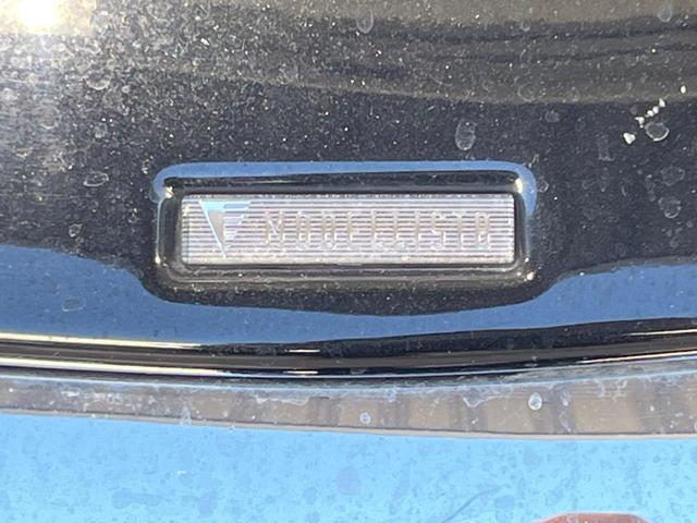 アルファード 2.5S Cパッケージ モデリスタフルエアロ ツインムーンルーフ フリップダウンモニター 純正9型ディスプライオーディオ 両側電動スライドドア 衝突被害軽減システム レーダークルーズ 禁煙車 シートベンチレーション ETC(29枚目)