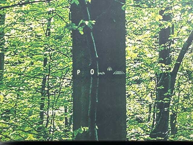 ヴェルファイアハイブリッド Ｚ　プレミア　純正１３型後席モニター　左右独立ムーンルーフ　純正１４型ナビ　全周囲カメラ　前席＆２列目シートエアコン　デジタルインナーミラー　電動リヤゲート　コーナーセンサー　ＢＳＭ　フルセグ　Ｂｌｕｅｔｏｏｔｈ（32枚目）