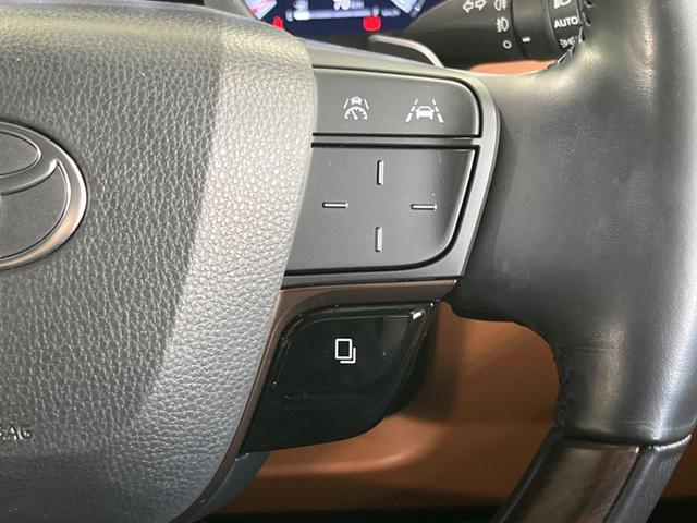 ヴェルファイアハイブリッド Ｚ　プレミア　純正１４型ナビ　後席モニター　左右独立ムーンルーフ　衝突軽減装置　茶革シート　両側電動ドア　全周囲カメラ　レーダークルーズ　電動リヤゲート　ＢＳＭ　デジタルインナーミラー　ＥＴＣ　禁煙車（32枚目）