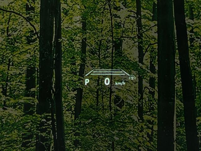 ヴェルファイアハイブリッド Ｚ　プレミア　純正１４型ナビ　後席モニター　左右独立ムーンルーフ　衝突軽減装置　茶革シート　両側電動ドア　全周囲カメラ　レーダークルーズ　電動リヤゲート　ＢＳＭ　デジタルインナーミラー　ＥＴＣ　禁煙車（50枚目）