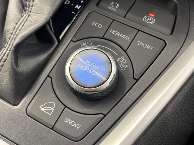 RAV4 アドベンチャー オフロードパッケージ 純正9型ディスプレイオーディオ 全周囲カメラ シートベンチレーション ブラインドスポットモニター ETC ドラレコ デジタルインナーミラー ステアリングヒーター 禁煙車 衝突被害軽減装置(33枚目)