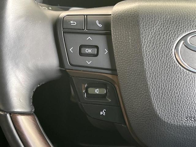 アルファード Z ガラスルーフ フリップダウンモニター 純正14型ディスプレイオーディオ 全周囲カメラ デジタルインナーミラー ブラインドスポットモニター 両側電動スライドドア ETC 衝突被害軽減装置(33枚目)