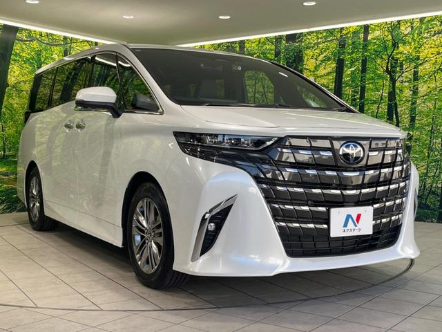 アルファード Z ガラスルーフ フリップダウンモニター 純正14型ディスプレイオーディオ 全周囲カメラ デジタルインナーミラー ブラインドスポットモニター 両側電動スライドドア ETC 衝突被害軽減装置(66枚目)