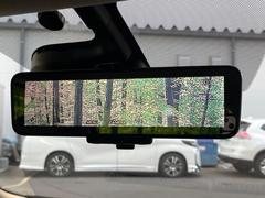 �ڥ���ƥꥸ����ȥ롼��ߥ顼�۸��ʤ��礭�ʲ�ʪ��Ʊ��ԤǸ�������ǧ���Ť餤���Ǥ�¿�������餬���Ƥ�����ξ�����α�����롼��ߥ顼���ɽ�������ꥢ�ʻ볦�Ǿ����γ�ǧ����ǽ�Ǥ��� 5