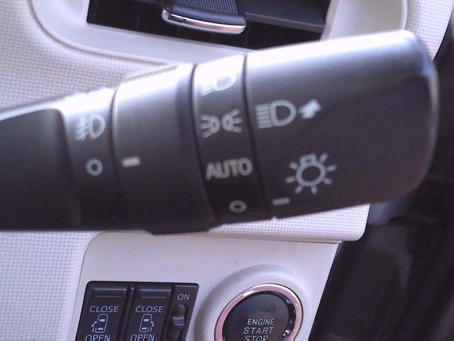 ムーヴキャンバス Ｘリミテッドメイクアップ　ＳＡＩＩＩ（45枚目）