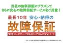 Ｆ　ナビ・ＴＶ・衝突被害軽減ブレーキ・ドライブレコーダー・バックカメラ・ＥＴＣ・キーレス・ＡＢＳ（46枚目）